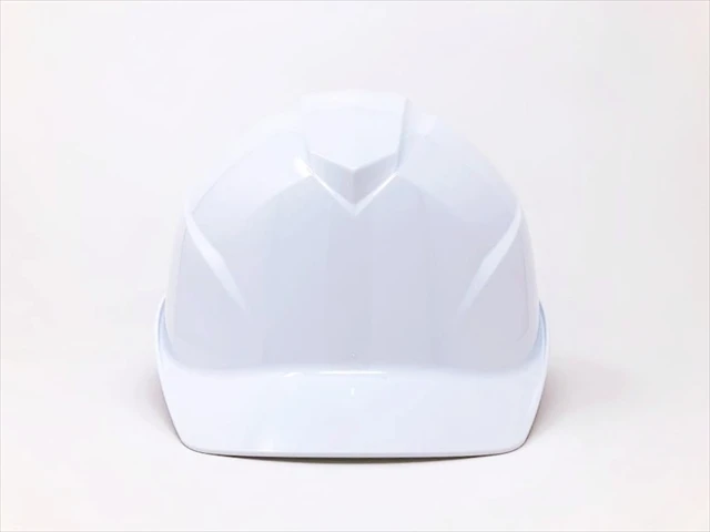 tanizawa-shield-helmet-st#0123j-sh-1