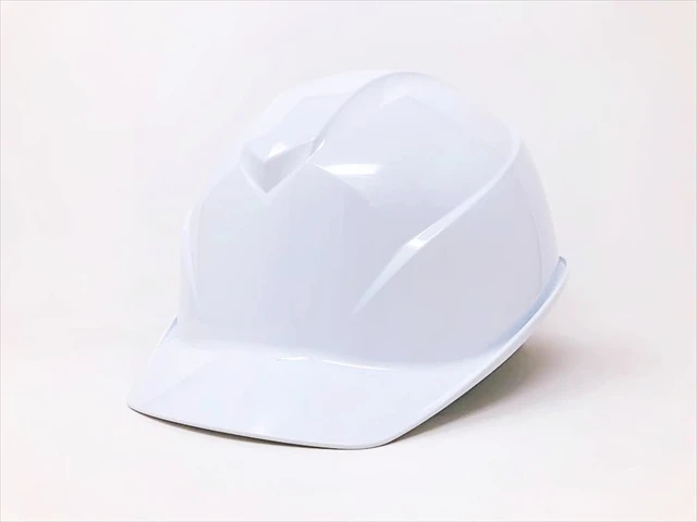 tanizawa-shield-helmet-st#0123j-sh-2